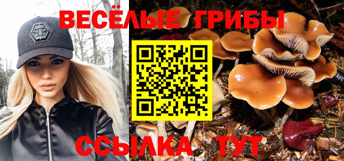 Обнинск  Псилоцибиновые грибы Psilocybine cubensis  Псилоцибиновые грибы прущие грибы  Вход с VPN 